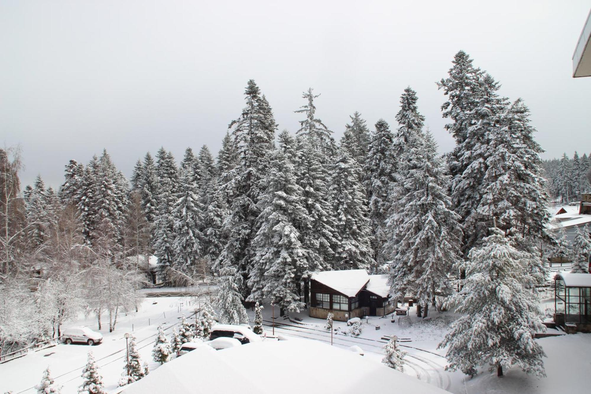Charming One Bed Apartment 423 In Main Flora Building Borovets Exterior photo